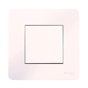 Serie Schneider Nueva Unica